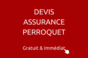 DEVIS-ASSURANCE-PERROQUET-France